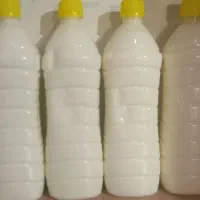 دوغ و مسکه گاو