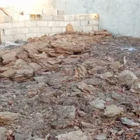 کود گوسفندی پوسیده چند ساله