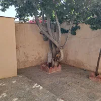 واحد ویلایی مبله|اجارهٔ کوتاهمدت آپارتمان و سوئیت|شیراز, ریاستی|دیوار