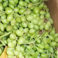 غوره