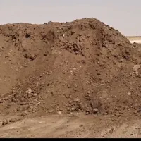 پخش کود حیوانی