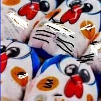 نمایندگی مرغ سمین تهران و حومه