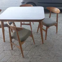 صندلی های پشت گرد|میز و صندلی غذاخوری|شاندیز, |دیوار