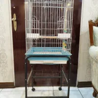 قفس پرنده میله ها محکم در حد نو|لوازم جانبی حیوانات|ری, شهید غیوری (ابن باویه)|دیوار