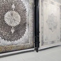 سود کم فروش بیشتر در تولیدی|فرش|شیراز, تندگویان|دیوار