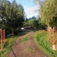 خانه مسکونی با 2000 متر زمین سراوان امام زاده هاشم|فروش زمین و ملک کلنگی|رشت, توشیبا|دیوار