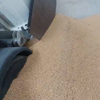 فروش خوراک دام، کنسانتره شیری و پرواری