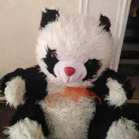 عروسک ووسایل دیگر