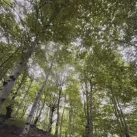 تدریس خصوصی فیزیک و ریاضی