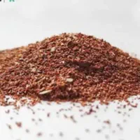 بذر اکالیپتوس