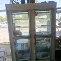 یخچال ایستاده ویترینی