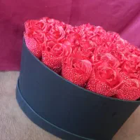 گل باکس|گل مصنوعی|اسدآباد, |دیوار