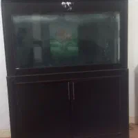 آکواریوم زیبا