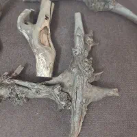 چوب مخصوص اکواریوم و دکوری های خاص