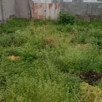 ۲۶۷متر ۱۰۰متر جواز ساخت دور دیوار سند تک برگ|فروش زمین و ملک کلنگی|تولم شهر, |دیوار