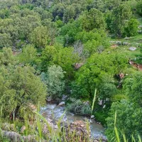 فروش الاغ