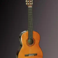 آموزش گیتار خصوصی و تضمینی