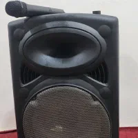 باند اکتیو چهارده اینچی (اسپیکر)