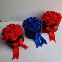 گل روز|حراج|بجنورد, |دیوار