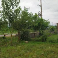 شراکت در گلخانه