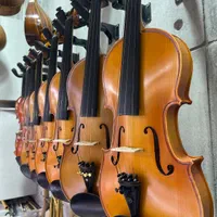 ویولن مبتدی و حرفه ای|ویولن|مبارکه, |دیوار