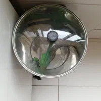 سبزی خرد کنی و بابلیس مو