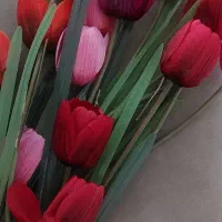 نی تزیینی|گل مصنوعی|مشهد, چهارچشمه|دیوار