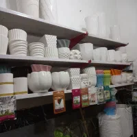 واگذاری مغازه|گل و گیاه طبیعی|بهارستان, |دیوار