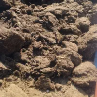 یه خاور کود گاو