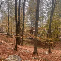 معاوضه-آپارتمان-تهران-با-مهرشهر-کرج-یا-شمال