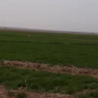 زمین-کشاورزی-ابی