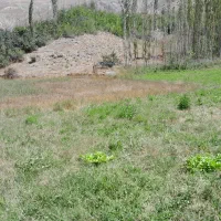 زمین کشاورزی متراژ ۲۰۰۰ وپاینتر