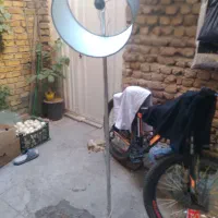 یک عدد اواژور سالم