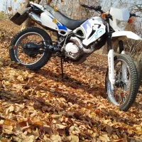 موتور تریل شهاب الگانس