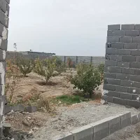 باغ،باغچه،چهاردیواری سند تک برگ|فروش زمین و ملک کلنگی|رباطکریم, انجم آباد|دیوار