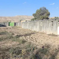 شراکت وسرمایه گذاری|حیوانات مزرعه|حمیل, |دیوار