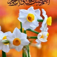 درمان کم خونی گیاهی