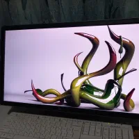 مانیتور Dell مدل p2214hb|قطعات و لوازم جانبی رایانه|مشکیندشت, |دیوار