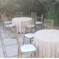 اجاره صندلی و میز جهت مجالس|خدمات پذیرایی، مراسم|قزوین, |دیوار