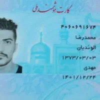 کیف پول حاوی کارت بانکی و شناسایی به نام الوندیان