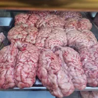 زبان ومغز گوساله|خوردنی و آشامیدنی|تهران, جوادیه|دیوار