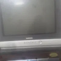 تلوزیون
