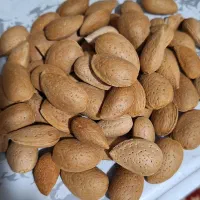 فروش بادام با مغز  بسیار خوب
