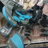 کالسکه وروک|کالسکه و لوازم جانبی|کاشان, ملا حبیبالله شریف|دیوار