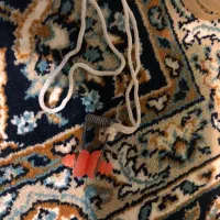 دماغ‌گیر شنا