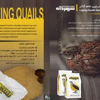 خوراک ویژه بلدرچین تخم گذار سپهردانه فروش اقساطی|لوازم جانبی حیوانات|آبادان, |دیوار
