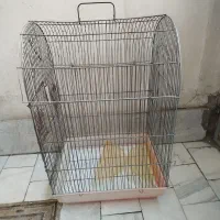 قفس پرنده  سالم  بزرگ