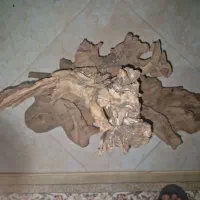 چوب آبنوس بزرگ و درجه یک مناسب دیسکس|ماهی|تهران, آذری|دیوار