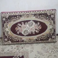 پشتی(کرم زرشکی)