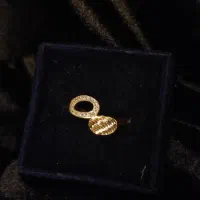 فروش انواع بدلی جات رنگ ثابت و طلا روس